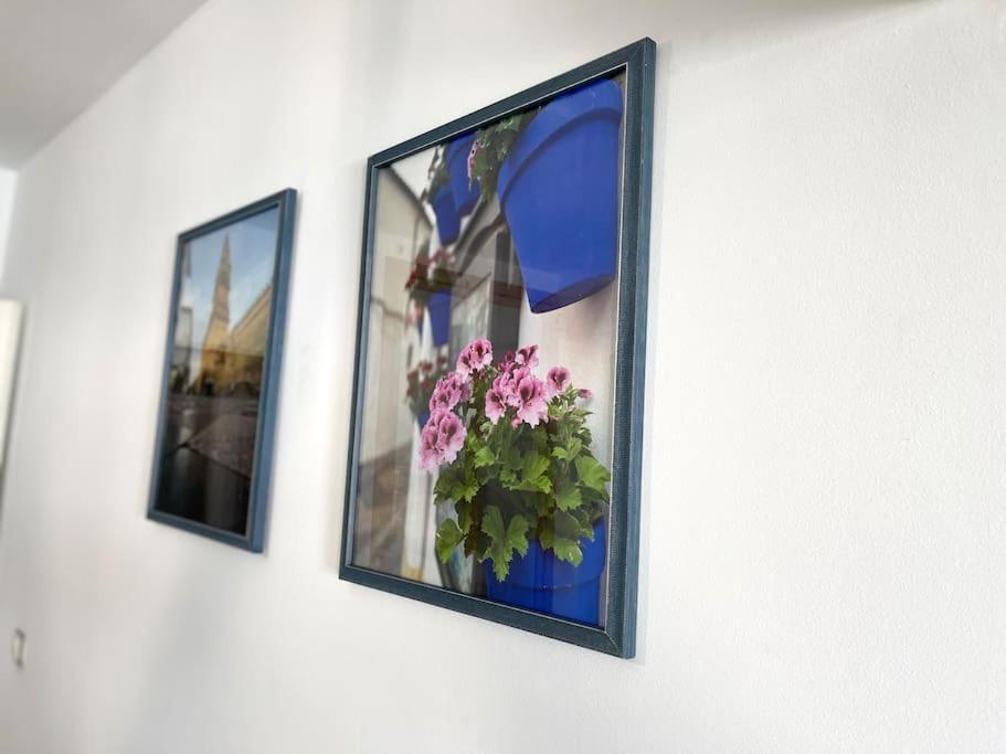Apartamento Centrico Urbano Con Terraza Κόρδοβα Εξωτερικό φωτογραφία